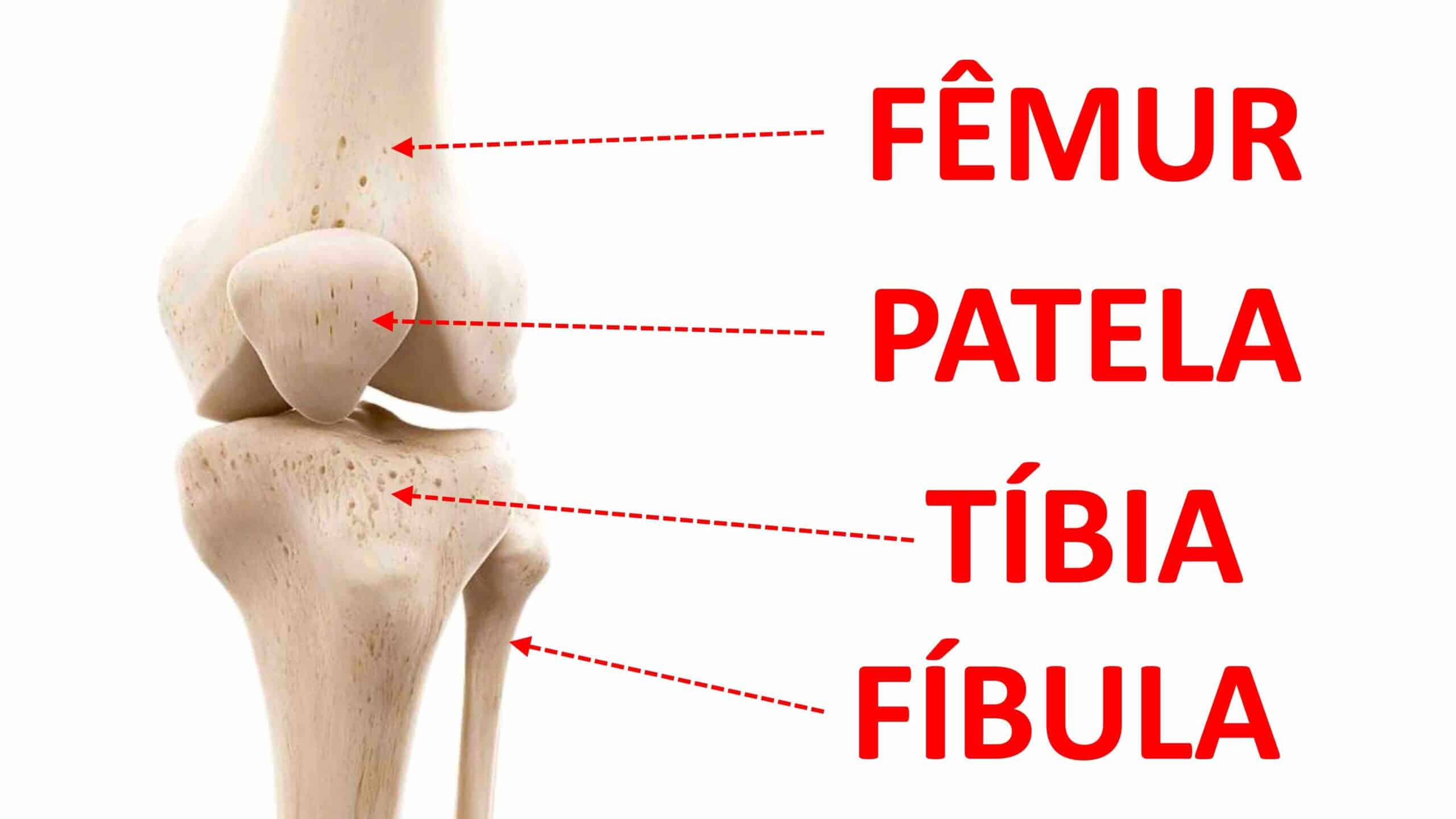 OSSOS DO JOELHO - FÊMUR, PATELA, TÍBIA E FÍBULA