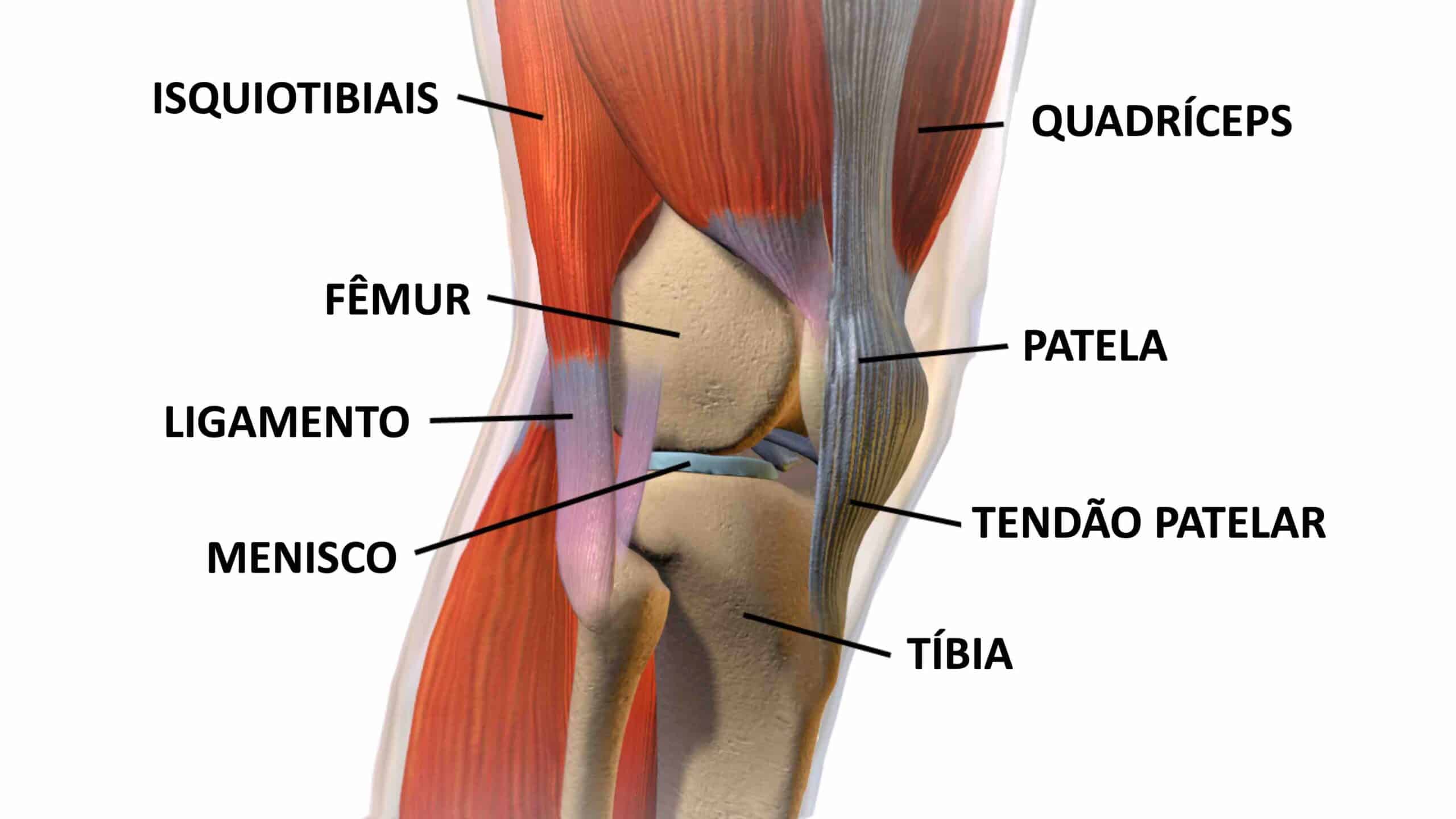 DOR PATELA JOELHO