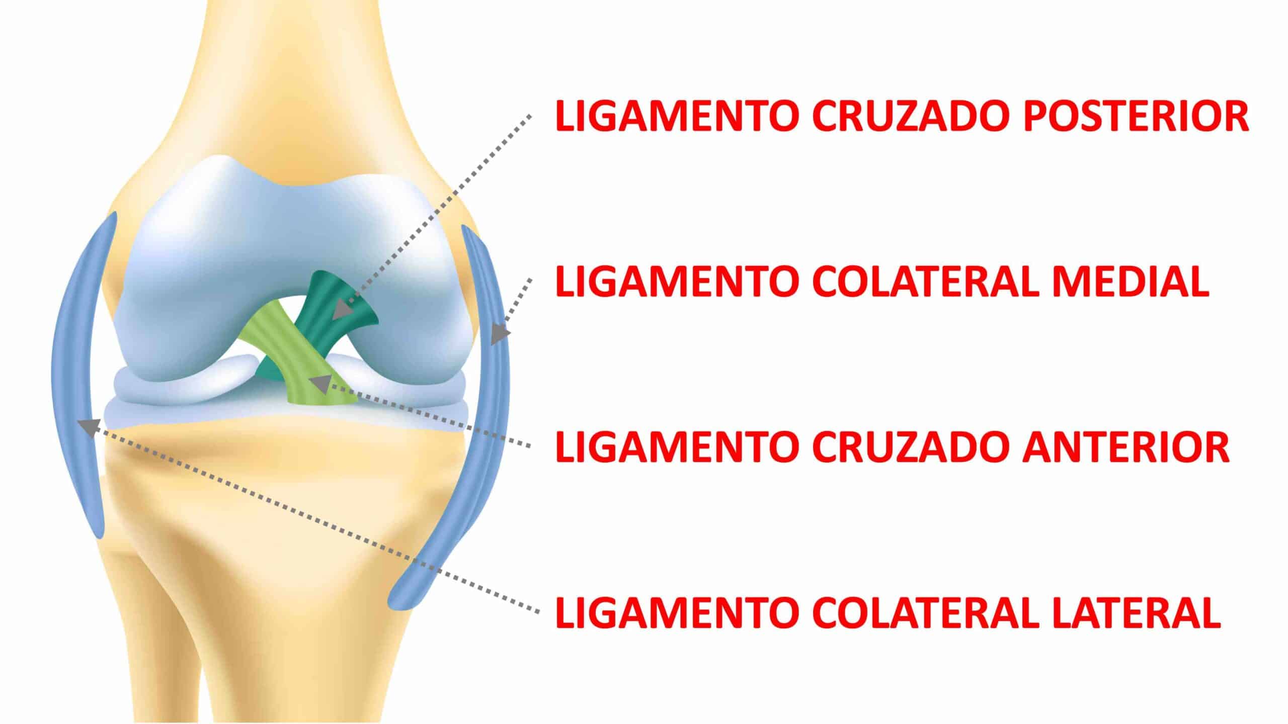 LIGAMENTOS DO JOELHO