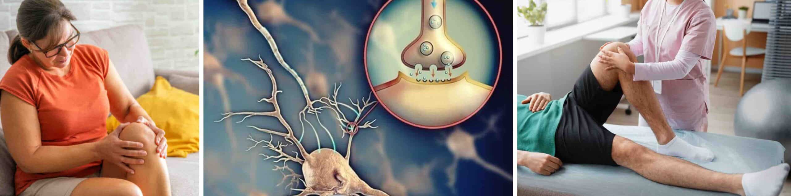 DOR NO JOELHO MIASTENIA GRAVIS