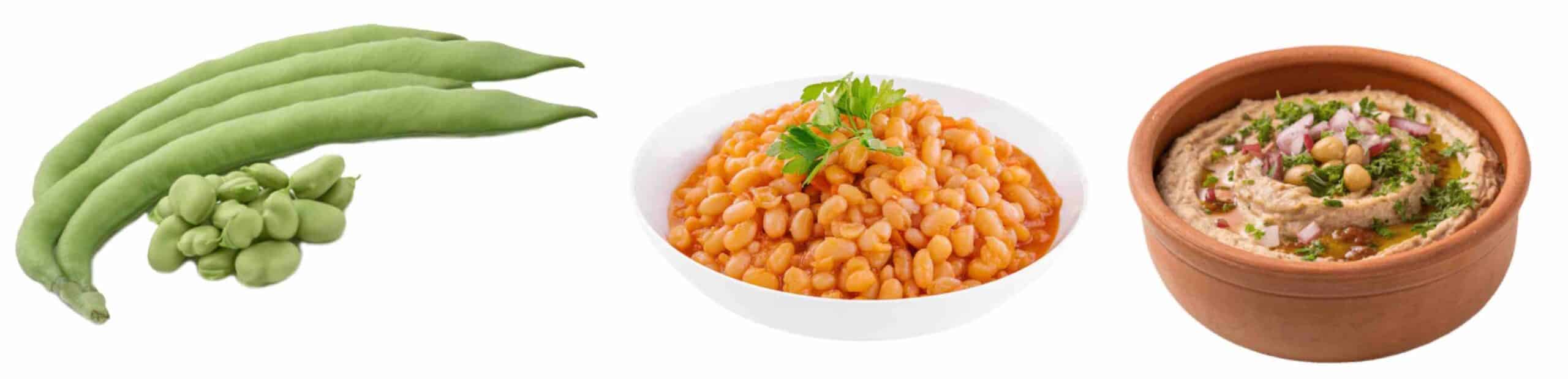 OZONIOTERAPIA E FAVISMO OZONIOTERAPIA E FAVISMO