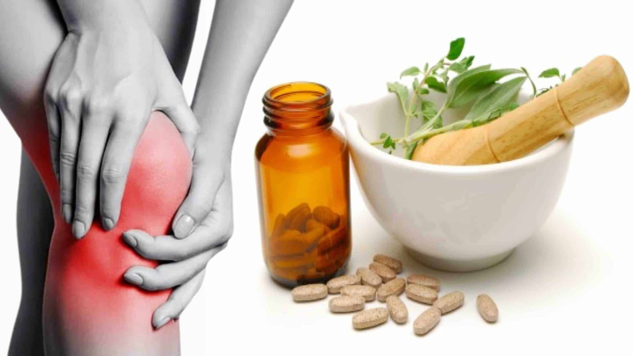 FITOTERÁPICOS PARA JOELHO