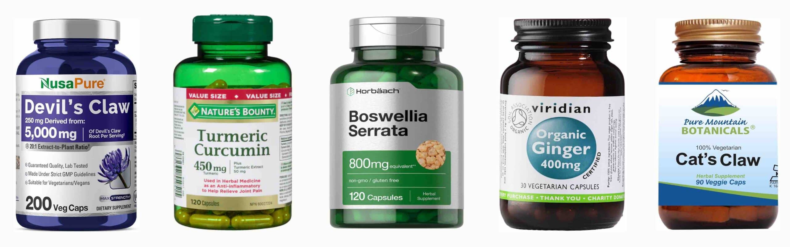 MEDICAMENTOS FITOTERÁPICOS PARA JOELHO