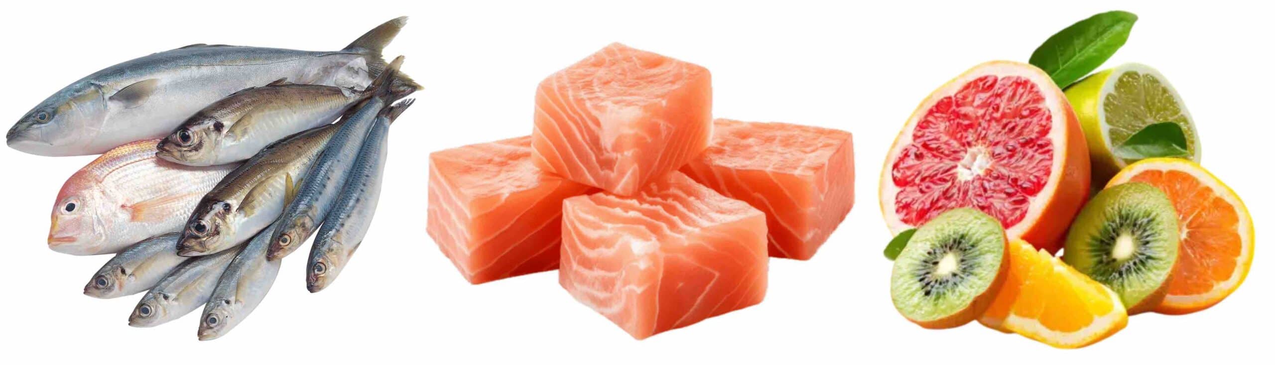 MELHORES ALIMENTOS JOELHO MELHORES ALIMENTOS JOELHO