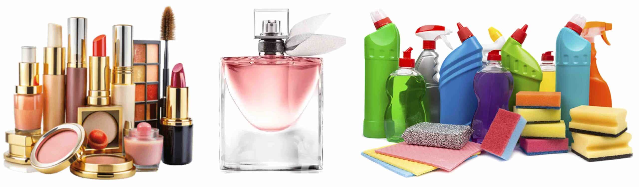 XENOESTRÓGENOS JOELHO