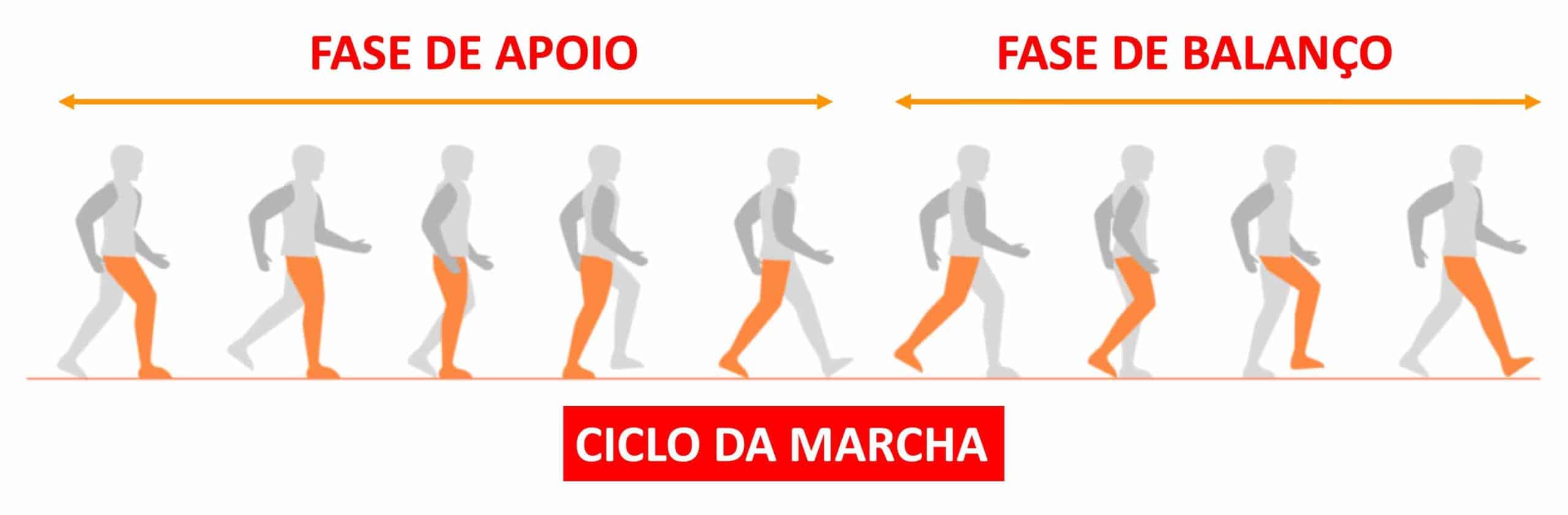 JOELHO E LOCOMOÇÃO JOELHO E LOCOMOÇÃO